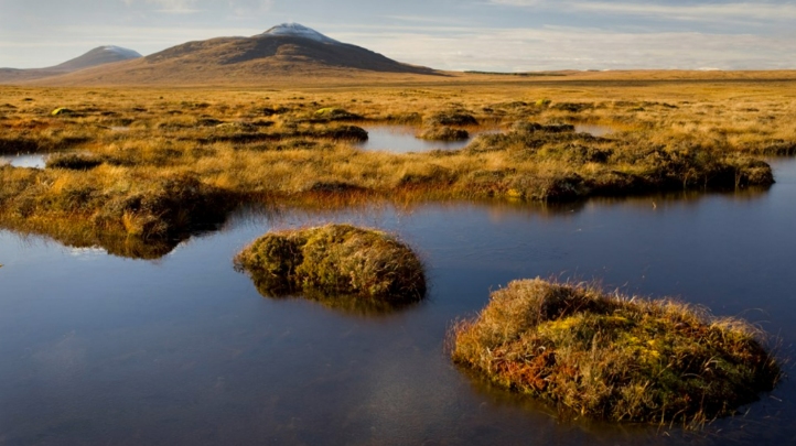 Peatlands can sequester carbon when conserved, but can become a net carbon emitter if allowed to dry up. Image: RSPB